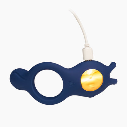 Vibrating C Ring